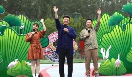 明日最新家具爆料视频,明日家具爆料视频深度解析